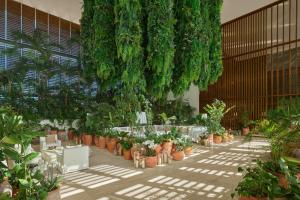 The Riviera Maya EDITION at Kanai