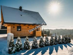 Tatra Village