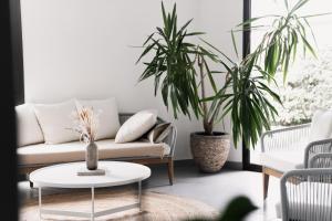Hotels Hotel Les Fougeres - Hossegor : photos des chambres