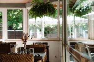Hotels Hotel Les Fougeres - Hossegor : photos des chambres