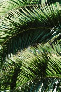 Hôtel Les Fougères - Hossegor