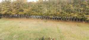 ALOJAMIENTO CAMPESTRE SANTA ELENA