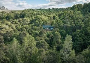 Mākoha PurePod - Rakautao