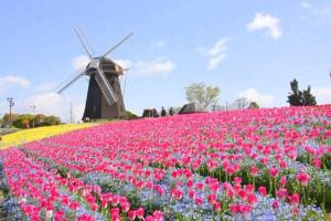 TSUBAME 101 staying private home