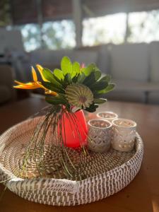 Beachside Escape, Sunshine Beach