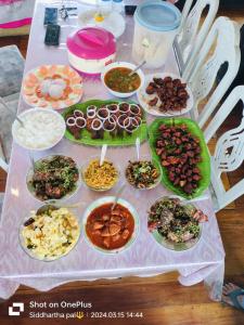 Beach Paradise Day Cruise Houseboat