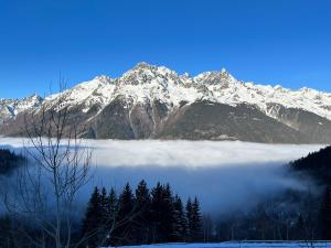 Appartements NEW - Stunning view and spacious terrace : photos des chambres