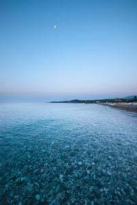 White Lilyum Hotel -Inclusive