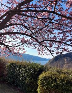 Ferienwohnung am Gardasee in Tignale, Pool, Seesicht, WLAN kostenlos