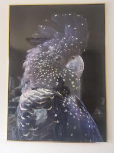 Riverside Cockatoos Cottage Charming 3 Bed Retreat for up to 10 Guests