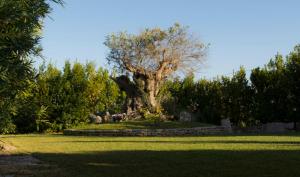 Agriturismo La Violetta