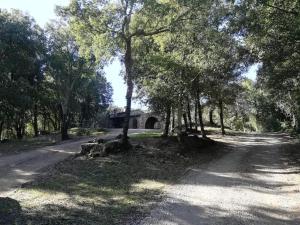 Rustico in un parco di lecci