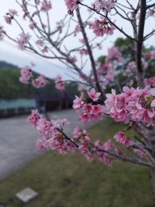 Fu Chuan Garden