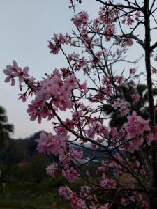 Fu Chuan Garden