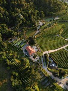 Quinta das Piramides