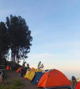 Rinjani Horse Riding BaseCamp