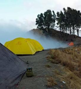 Rinjani Horse Riding BaseCamp