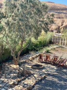 Casa Morena, Los Órganos