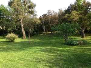 Maisons de vacances Les Gites du Merle : photos des chambres