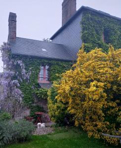 B&B / Chambres d'hotes Les chambres d'hotes Le Val d'Honfleur : photos des chambres