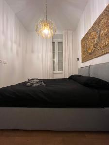 Trieste Centrale Luxury Apartament in stile moderno