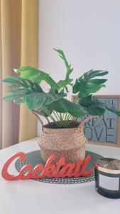 Maisons de vacances Le 36 - Maison COSY - Jardin privatif : photos des chambres