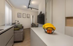 Pet Friendly Apartment 