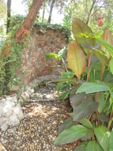 Relax tiny villas private pool entire property