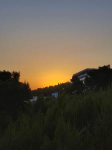 Foleza Studio Apartament-Shengjin