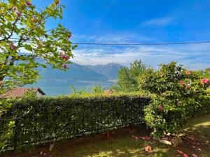 Charming House on the Lake