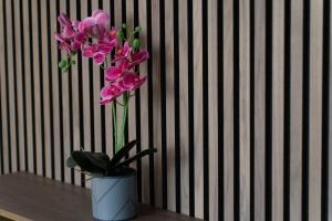 Open Mind Property - Luxury 3 Beds & Free Parking