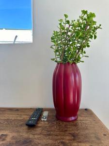 Blue Bay Studio Bayview