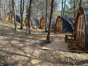 Camping Ripolles
