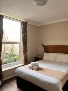 Budget Double Room room in Rose Tor Hotel