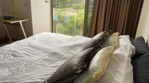 Sanctuary Hua Hin near Khao Takiab beach