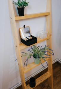 La Poalele Vulcanilor