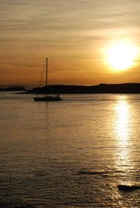 Maisons de vacances Les Palmiers : photos des chambres