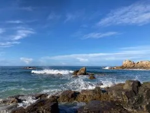 Les Palmiers - Port-Blanc