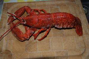 Maisons de vacances Les Palmiers : photos des chambres