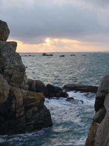 Maisons de vacances Les Palmiers : photos des chambres