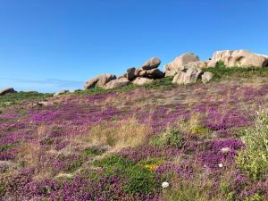 Maisons de vacances Les Palmiers : photos des chambres