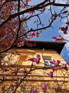The Villa, Ljubljana city center
