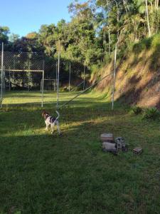 Contemplar a natureza, ouvir os pássaros, relaxar.