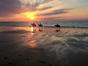 Appartements Beach Haven : photos des chambres