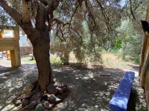 Casa vacanze Medau Rubiu img2