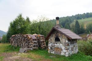 Pensiunea Aries Arieseni