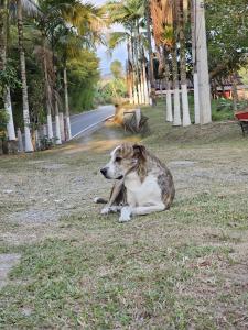 Acogedor alojamiento rural