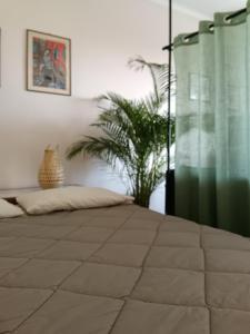 MAX and SEA parking free street