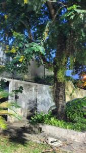 Casa da Montanha