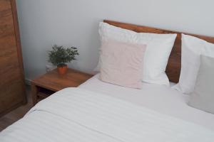 Luxury Apartament Ultracentral of Suceava Esplanada